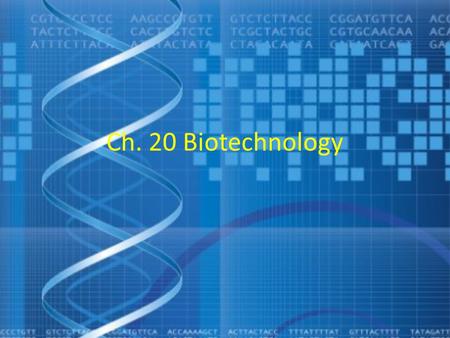 Ch. 20 Biotechnology. DNA cloning yields multiple copies of a gene or other DNA segment Gene cloning and other techniques, collectively termed DNA technology,