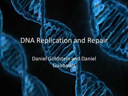 Daniel Goldstein and Daniel Guobadia DNA Replication and Repair.