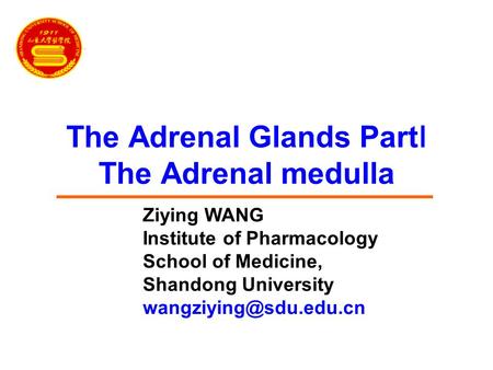 The Adrenal Glands Part Ⅰ The Adrenal medulla Ziying WANG Institute of Pharmacology School of Medicine, Shandong University