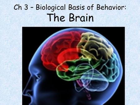 Ch 3 – Biological Basis of Behavior: The Brain