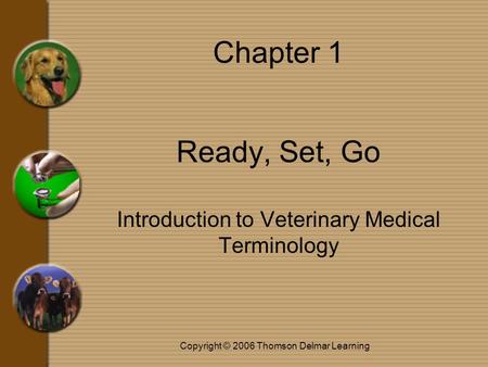 Copyright © 2006 Thomson Delmar Learning Chapter 1 Ready, Set, Go Introduction to Veterinary Medical Terminology.