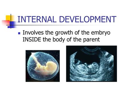 INTERNAL DEVELOPMENT Involves the growth of the embryo INSIDE the body of the parent.