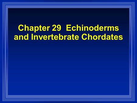 Chapter 29 Echinoderms and Invertebrate Chordates