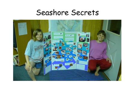 Seashore Secrets. Theme: We are exploring the intertidal sea life on the 200 ft stretch of rocky beach in front of our home.