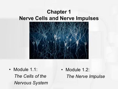 Chapter 1 Nerve Cells and Nerve Impulses Module 1.1: The Cells of the Nervous System Module 1.2: The Nerve Impulse.