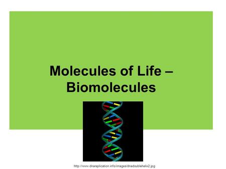 Molecules of Life – Biomolecules