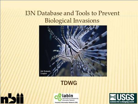 TDWG I3N Database and Tools to Prevent Biological Invasions Joel Rotunda Lionfish.
