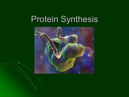 Protein Synthesis. Review! What are some functions of proteins? What are some functions of proteins? Enzymes, which speed up chemical reactions Enzymes,