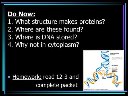 Do Now: Do Now: 1. What structure makes proteins? 2. Where are these found? 3. Where is DNA stored? 4. Why not in cytoplasm? Homework: read 12-3 and complete.