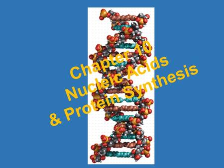 Chapter 10 Nucleic Acids & Protein Synthesis. After completing the chapter on Genetics, we discussed the passing on of genes, but how are genes produced?