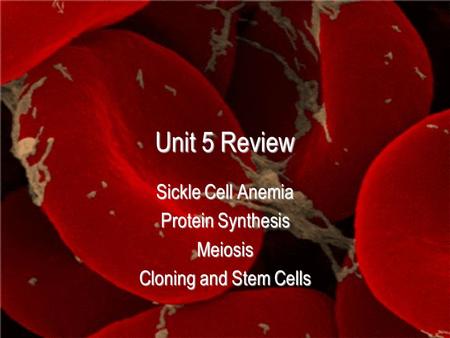 Unit 5 Review Sickle Cell Anemia Protein Synthesis Meiosis Cloning and Stem Cells.