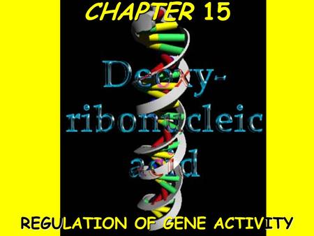 Gene Regulation 1 CHAPTER 15 REGULATION OF GENE ACTIVITY.