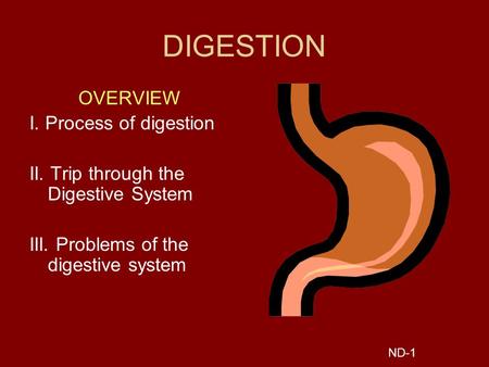 DIGESTION OVERVIEW I. Process of digestion II. Trip through the Digestive System III. Problems of the digestive system ND-1.