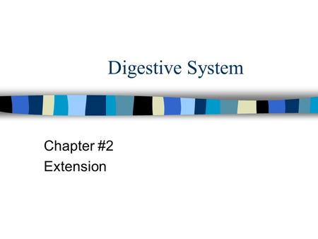 Digestive System Chapter #2 Extension. Digestive System n Large complex molecules broken down into simpler molecules n Long tube beginning with mouth.