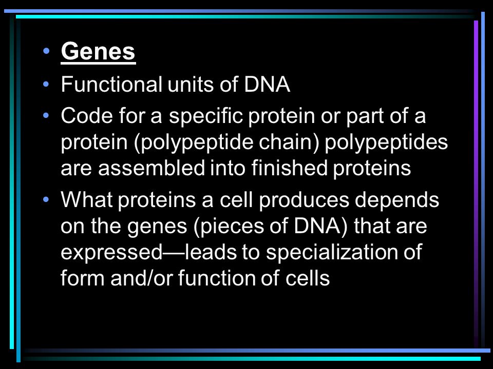 Biology 3201 Unit III: Genetics - ppt download