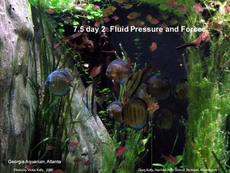 7.5 day 2 Fluid Pressure and Forces Greg Kelly, Hanford High School, Richland, WashingtonPhoto by Vickie Kelly, 2006 Georgia Aquarium, Atlanta.
