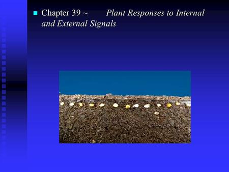 N Chapter 39 ~ Plant Responses to Internal and External Signals.