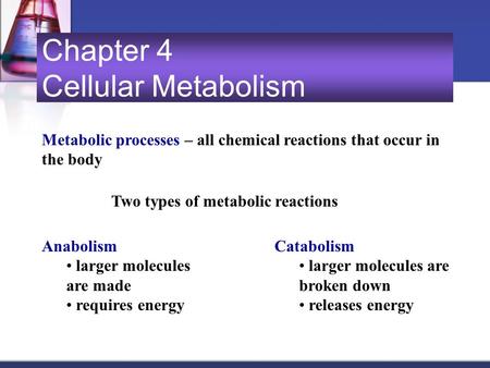 Chapter 4 Cellular Metabolism Metabolic processes – all chemical reactions that occur in the body Two types of metabolic reactions Anabolism larger molecules.