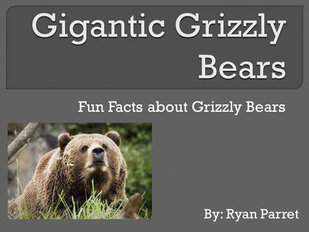 Fun Facts about Grizzly Bears By: Ryan Parret. Grizzly bears live mostly in the northern states of the U.S.A, Canada, and other northern countries.