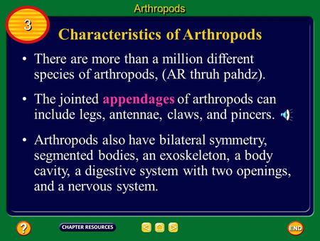 Characteristics of Arthropods There are more than a million different species of arthropods, (AR thruh pahdz). The jointed appendages of arthropods can.