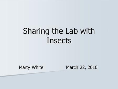 Sharing the Lab with Insects Marty White March 22, 2010.