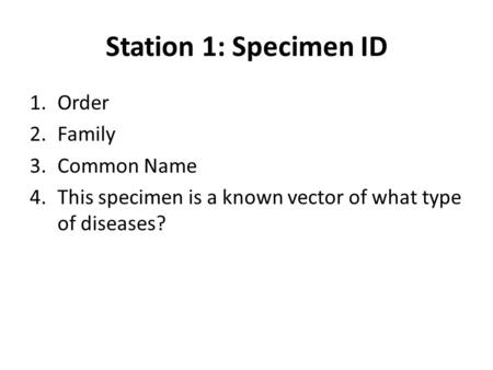 Station 1: Specimen ID 1.Order 2.Family 3.Common Name 4.This specimen is a known vector of what type of diseases?