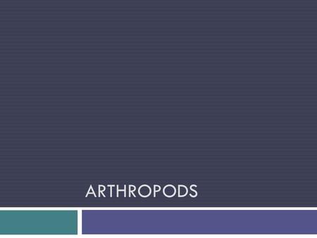 ARTHROPODS.  Insects, spiders, crabs, and lobsters are all arthropods, so there are a lot of arthropods on Earth. The earliest arthropods on Earth developed.