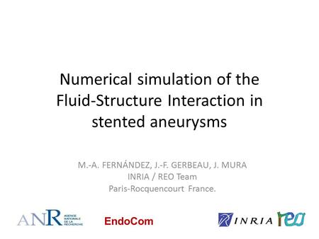 Numerical simulation of the Fluid-Structure Interaction in stented aneurysms M.-A. FERNÁNDEZ, J.-F. GERBEAU, J. MURA INRIA / REO Team Paris-Rocquencourt.