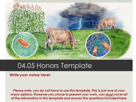 04.05 Honors Template Write your name here! Please note, you do not have to use this template. This is just one of your many options. However you chose.