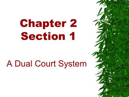 Chapter 2 Section 1 A Dual Court System. The Federal Court System.