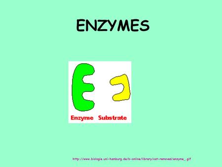 ENZYMES