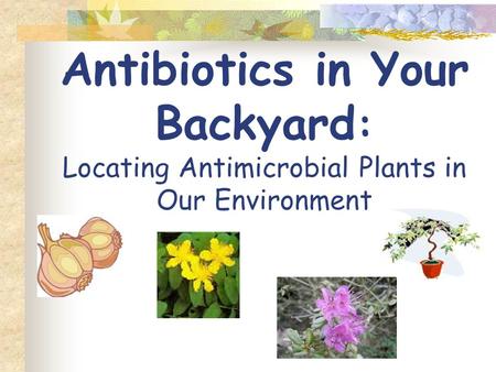 Antibiotics in Your Backyard : Locating Antimicrobial Plants in Our Environment.