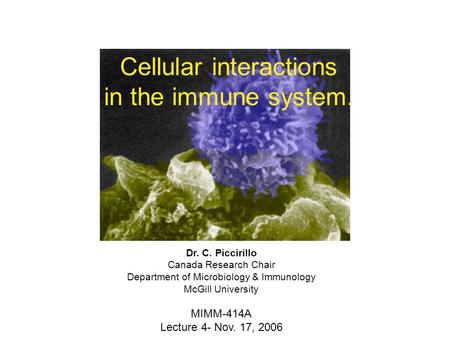 Cellular interactions in the immune system. Dr. C. Piccirillo Canada Research Chair Department of Microbiology & Immunology McGill University MIMM-414A.
