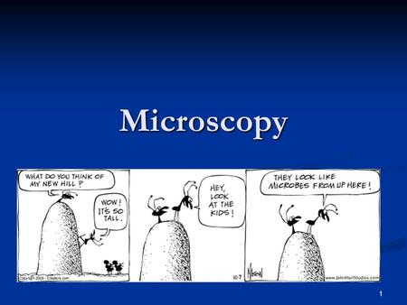 Microscopy 1. UNITS OF MEASUREMENT 1 m = 1000 mm (millimeters) 1 m = 1000 mm (millimeters) 1000 mm = 1 µm (microns) 1000 mm = 1 µm (microns) Bacteria.