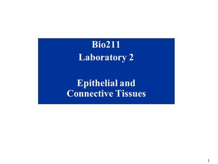 1 Bio211 Laboratory 2 Epithelial and Connective Tissues.