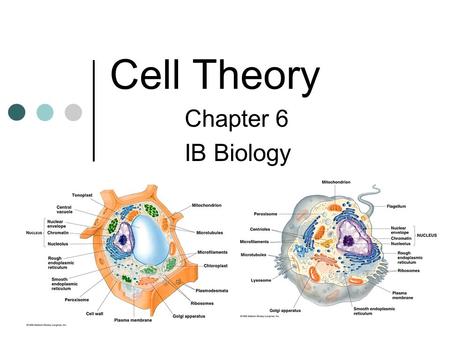 Cell Theory Chapter 6 IB Biology. Most cells are too small to see with the naked eye Let’s look at some early cell scientist first.