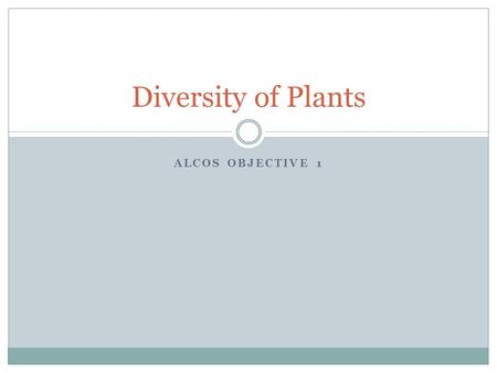 ALCOS OBJECTIVE 1 Diversity of Plants. Kingdom plante consists of 10 divisions  Anthocerophyta – Hornworts  Bryophyta – Mosses  Hepatophyta – Liverworts.