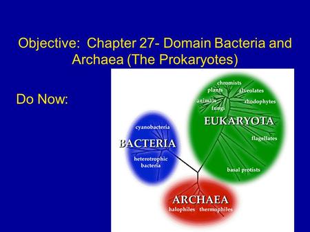 Objective: Chapter 27- Domain Bacteria and Archaea (The Prokaryotes) Do Now: