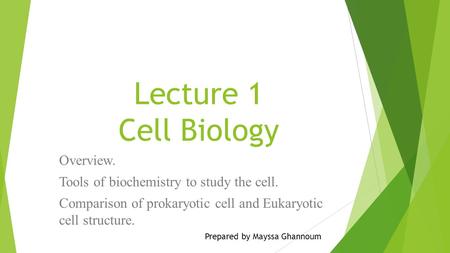 Lecture 1 Cell Biology Overview.