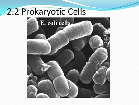 2.2 Prokaryotic Cells.