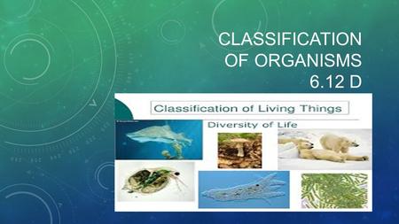 CLASSIFICATION OF ORGANISMS 6.12 D. HOW ARE LIVING ORGANISMS CLASSIFIED? We classify living organisms into a Domain and Kingdom based on the following.