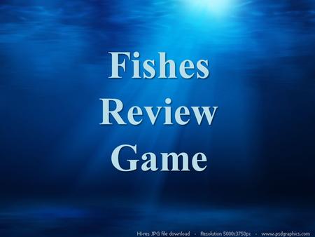 Fishes Review Game. Part 1 True/False True/False Fishes are the most abundant vertebrates, 1/2 of all vertebrates are fishes.