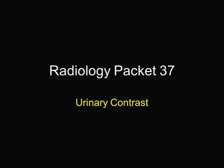 Radiology Packet 37 Urinary Contrast. 1 yr old MC Miniature Poodle “Poutchi” HX = presented because he was hit by a car, one survery film was done followed.