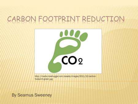 By Seamus Sweeney  footprint-green.jpg.