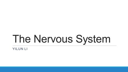 The Nervous System YILUN LI. The Nervous System Divided into two parts: ◦Central nervous system ◦Peripheral nervous system The central nervous system.