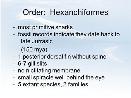 Order: Hexanchiformes - most primitive sharks - fossil records indicate they date back to late Jurrasic (150 mya) - 1 posterior dorsal fin without spine.