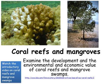 Coral reefs and mangroves