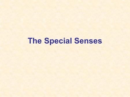 The Special Senses. Five Senses Vision (Sight) Hearing Smell Taste Touch (Palpation)
