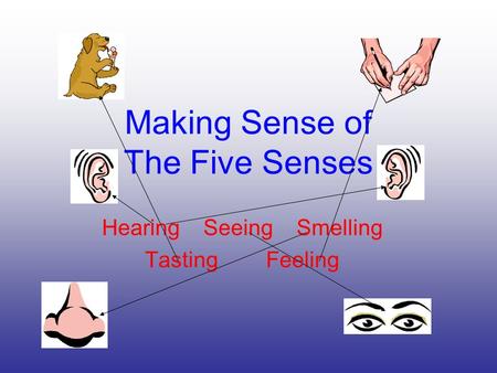 Making Sense of The Five Senses Hearing Seeing Smelling Tasting Feeling.