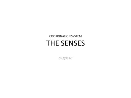 COORDINATION SYSTEM THE SENSES Ch.9/XI bil. Sensory system Sense organs or receptors are receptors, it functions to receive information These organs are.